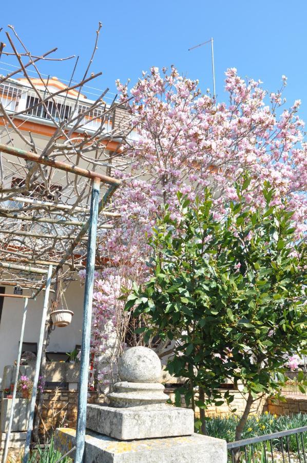 Apartman Mirna Rovinj Exterior foto