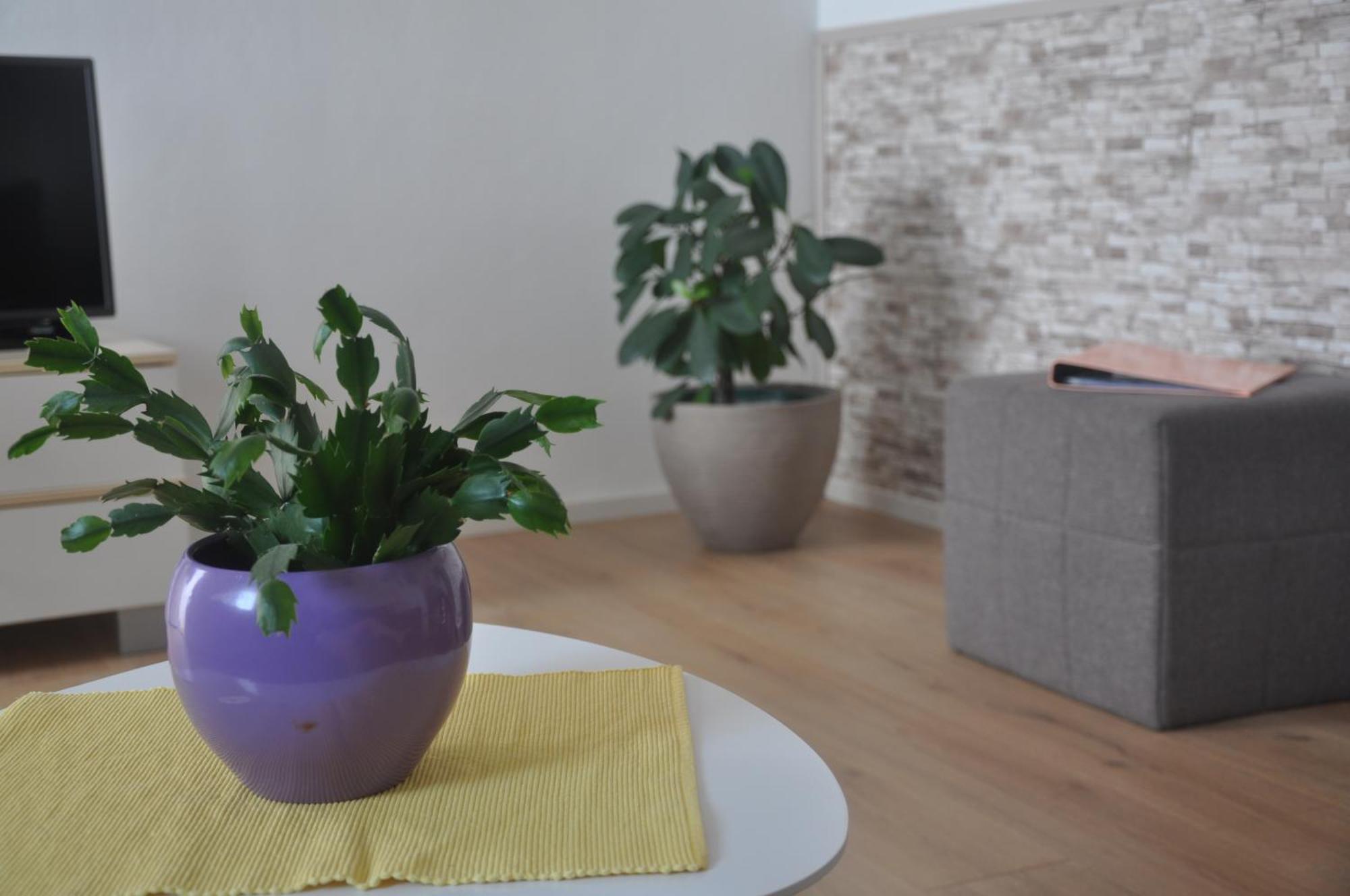 Apartman Mirna Rovinj Exterior foto